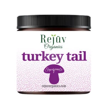 Turkey Tail Tincture