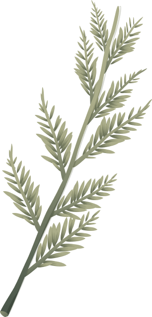 christmass-illustration-01@2x