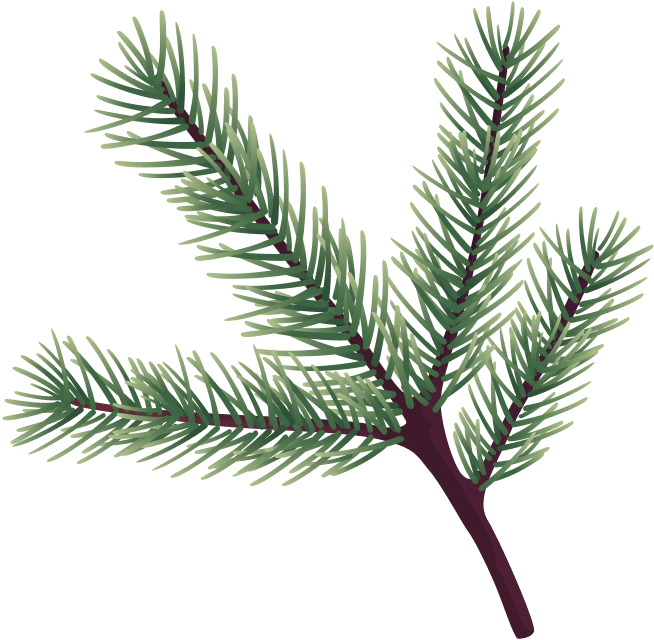 christmass-illustration-02@2x